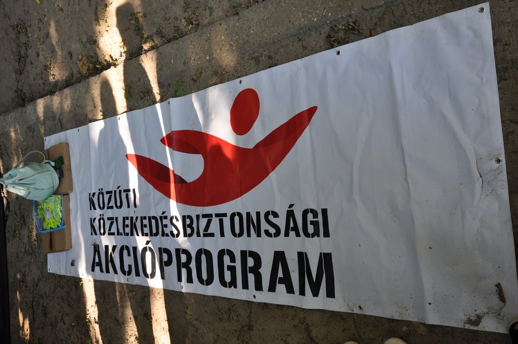 2019. Projektnap  20.JPG
