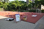2019. Projektnap  04.JPG