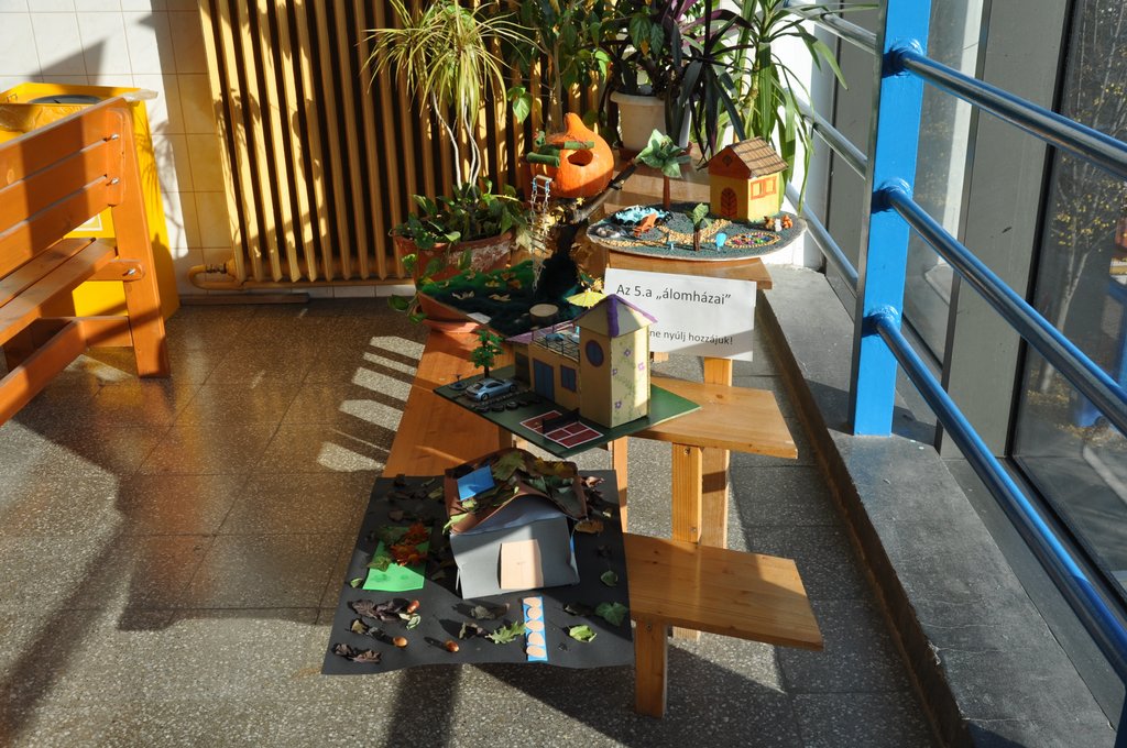 5.a Alomhazak 2019 07.JPG