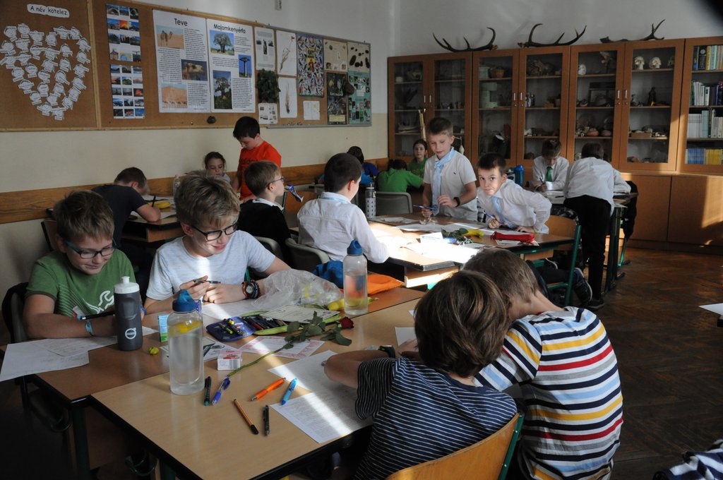 Bolyai matek  2019.10.11. 032.JPG