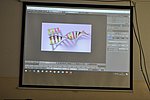 2019. DTH 8. evf eTalonSchool  041.JPG