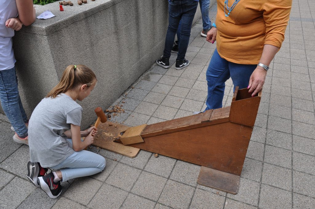 2019. Fajatekok 012.JPG