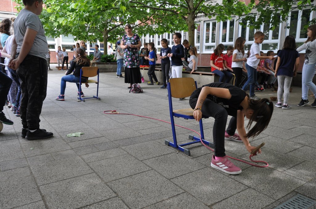 2019. Fajatekok 047.JPG