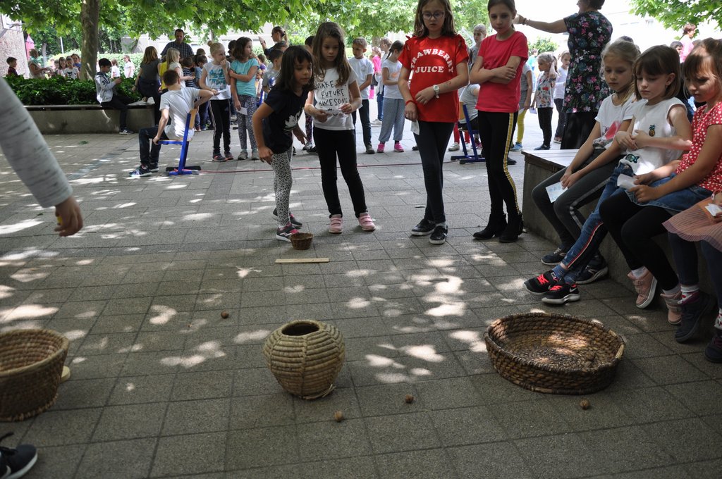 2019. Fajatekok 051.JPG