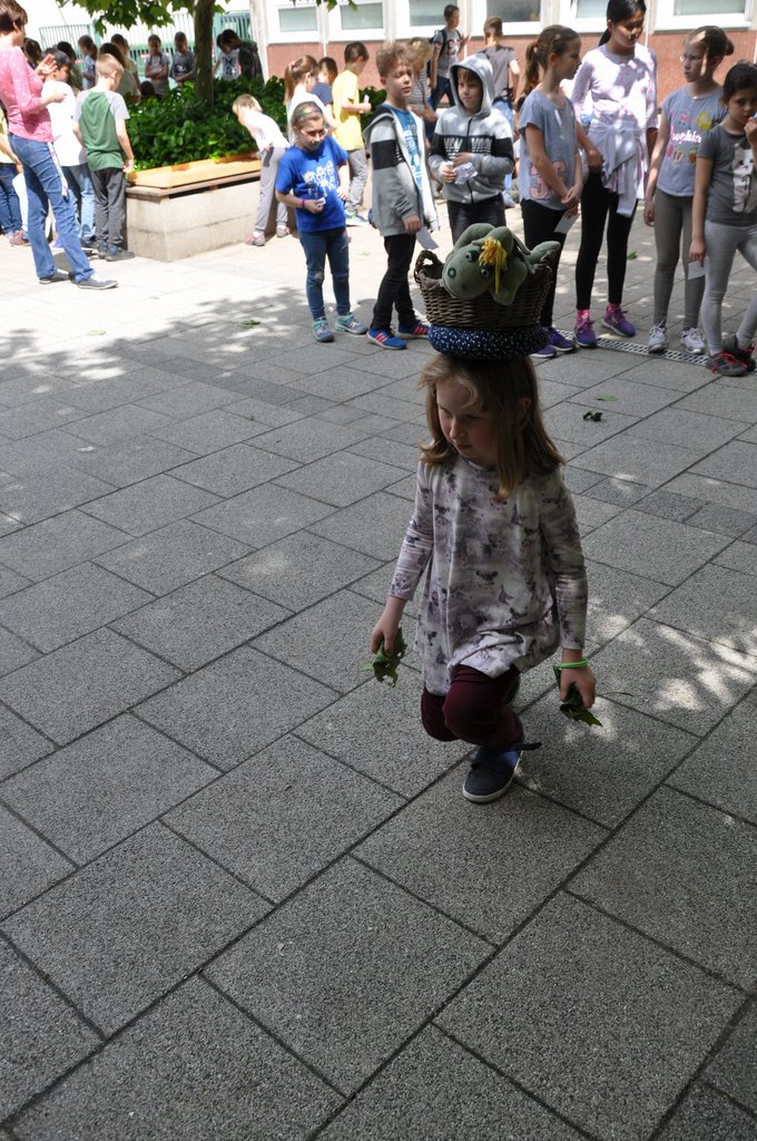 2019. Fajatekok 056.JPG