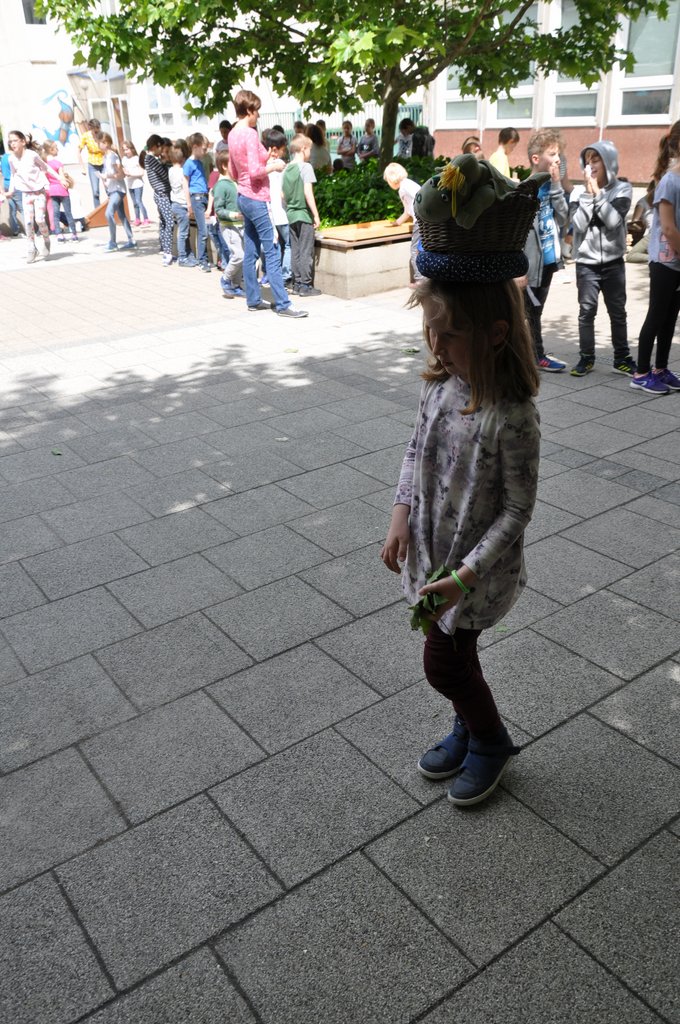 2019. Fajatekok 057.JPG