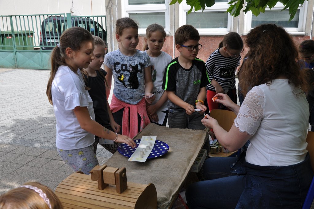 2019. Fajatekok 065.JPG