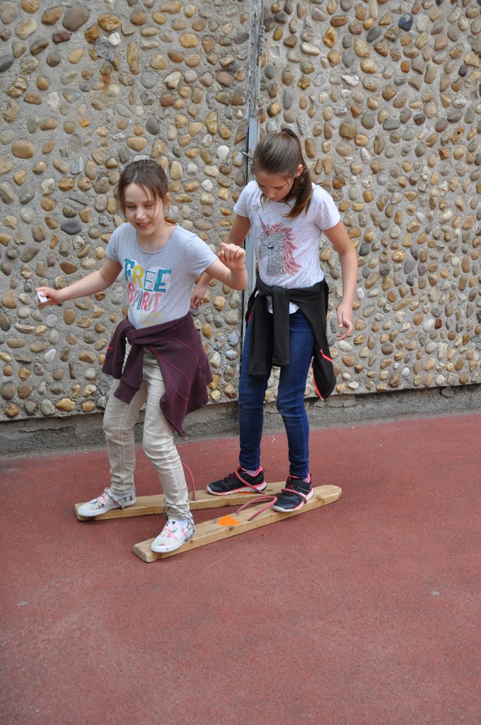 2019. Fajatekok 088.JPG