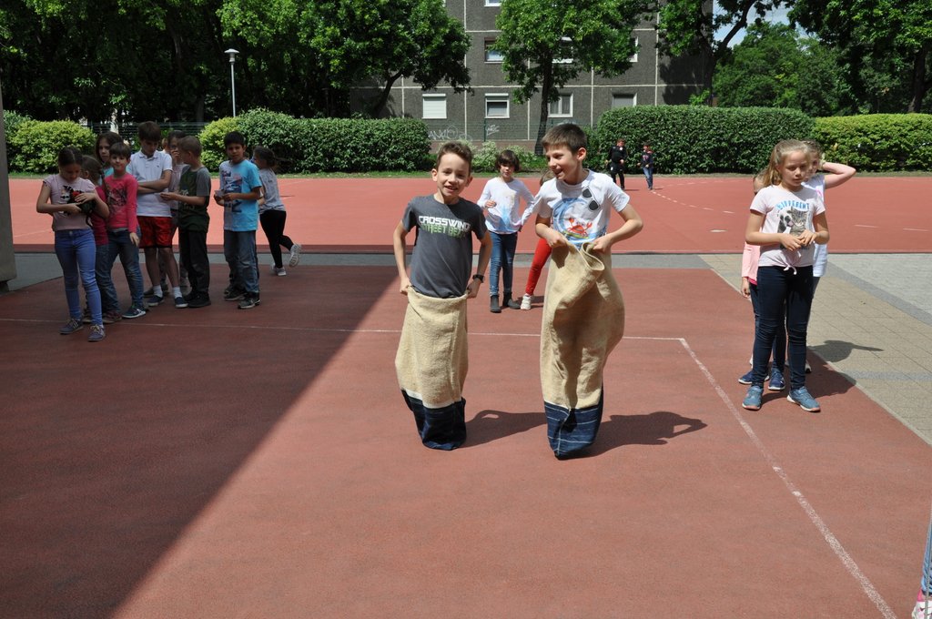 2019. Fajatekok 095.JPG