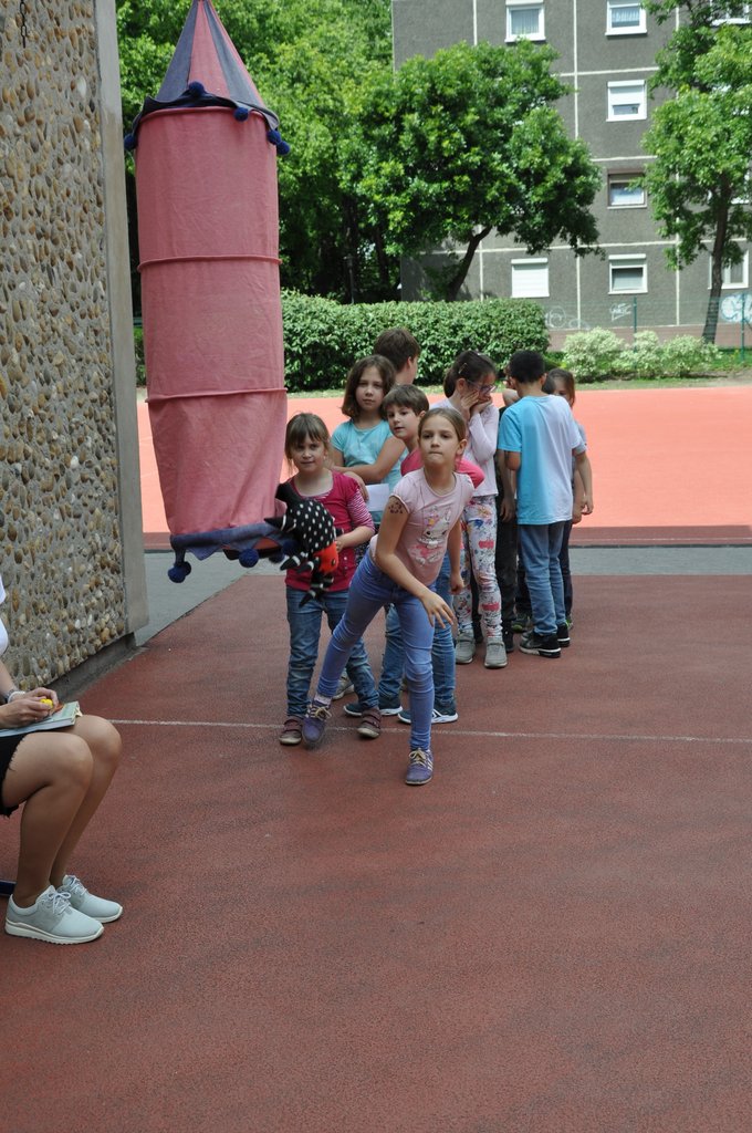 2019. Fajatekok 099.JPG
