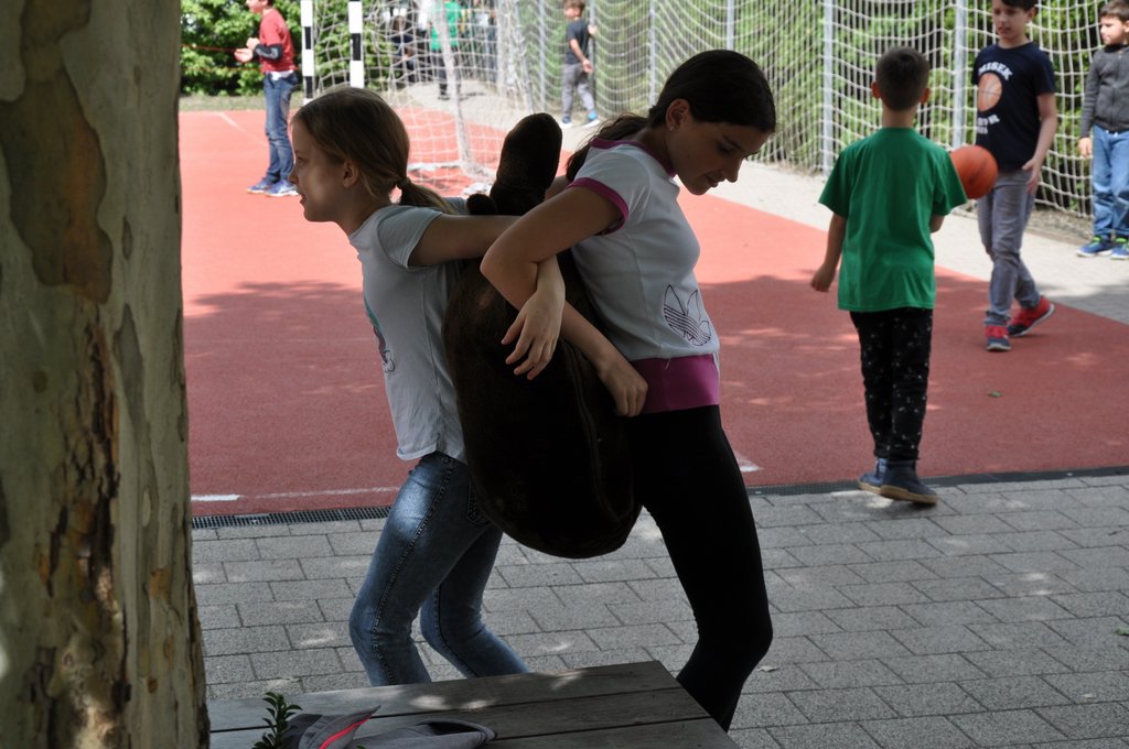 2019. Fajatekok 102.JPG