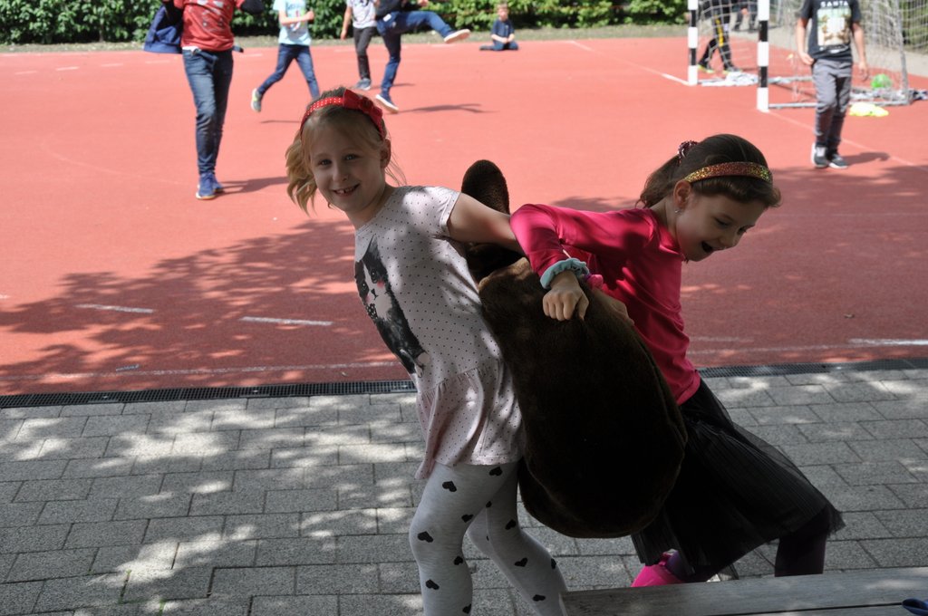 2019. Fajatekok 103.JPG