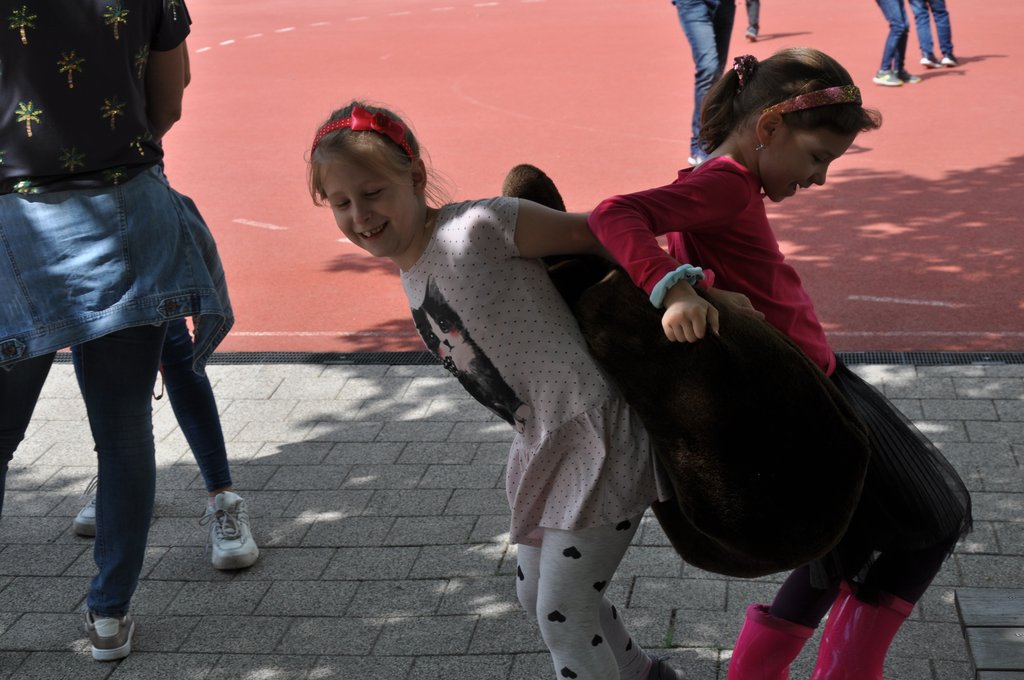 2019. Fajatekok 104.JPG