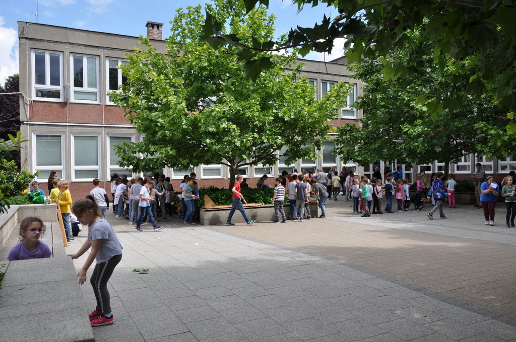 2019. Fajatekok 125.JPG