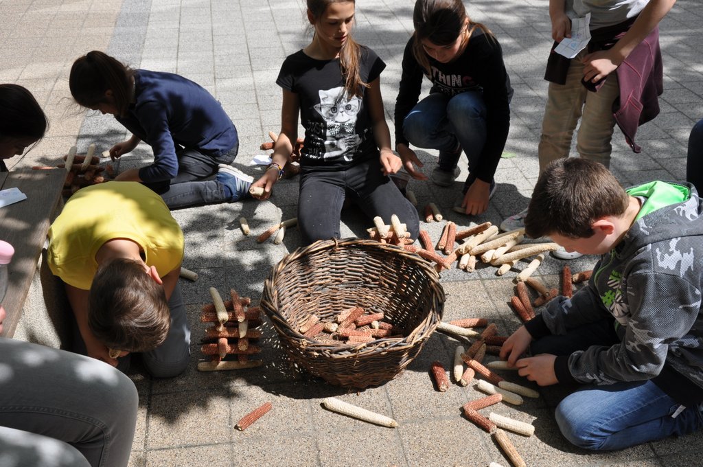 2019. Fajatekok 126.JPG