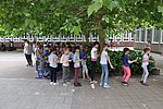 2019. Fajatekok 124.JPG