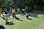 Felsosse avatas  2019.10.08. 002.JPG