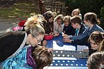 Felsosse avatas  2019.10.08. 062.JPG