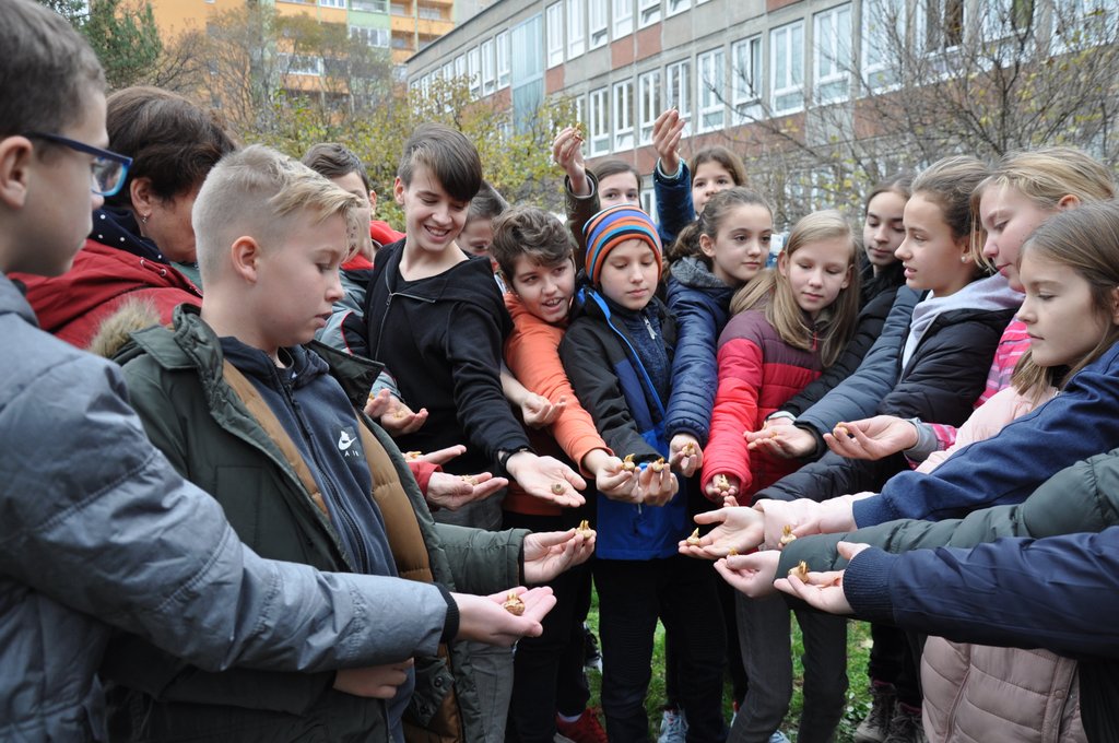 2019.11. Krokusz project 6.b 02.JPG