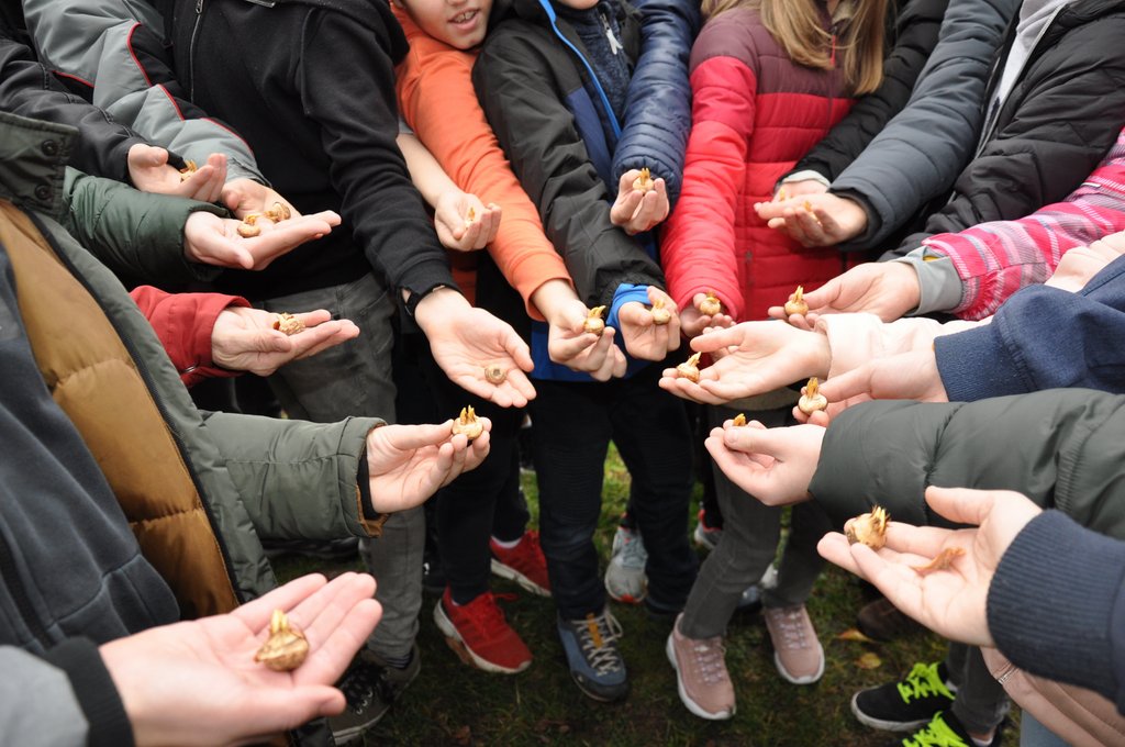 2019.11. Krokusz project 6.b 03.JPG