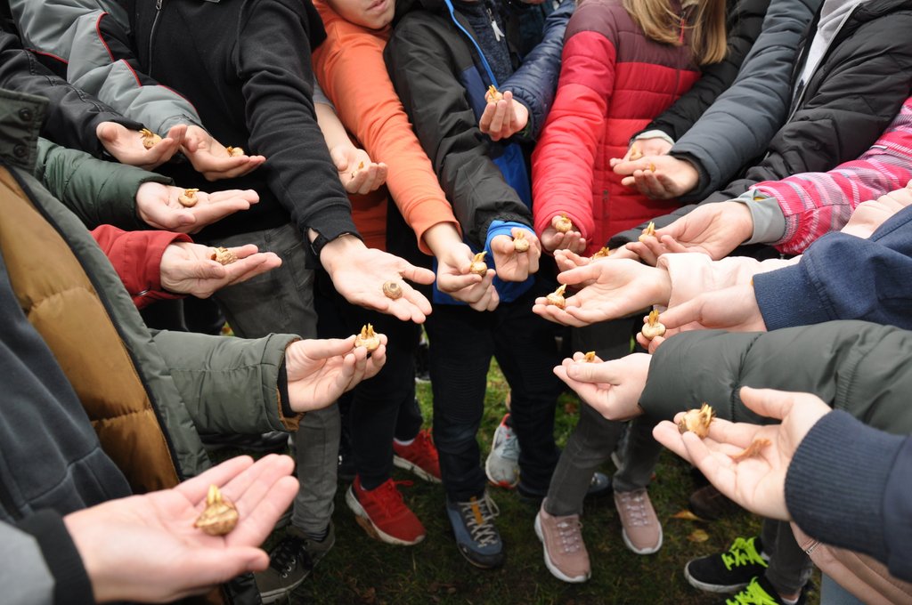 2019.11. Krokusz project 6.b 04.JPG