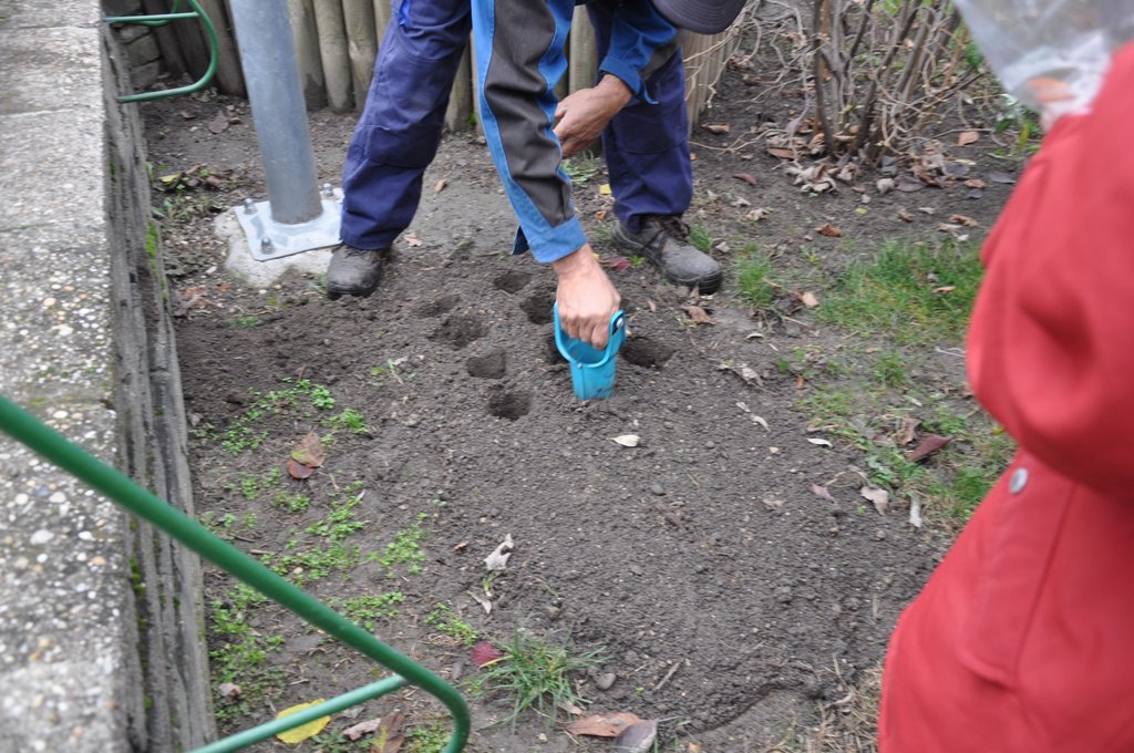 2019.11. Krokusz project 6.b 06.JPG