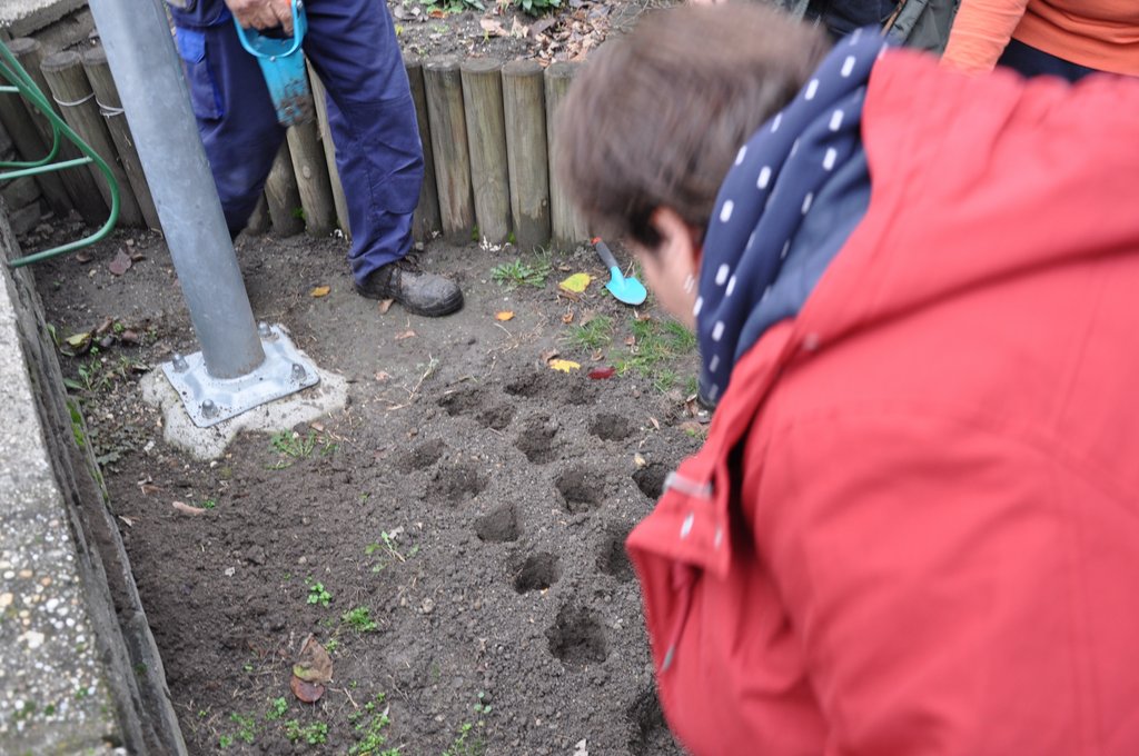 2019.11. Krokusz project 6.b 08.JPG