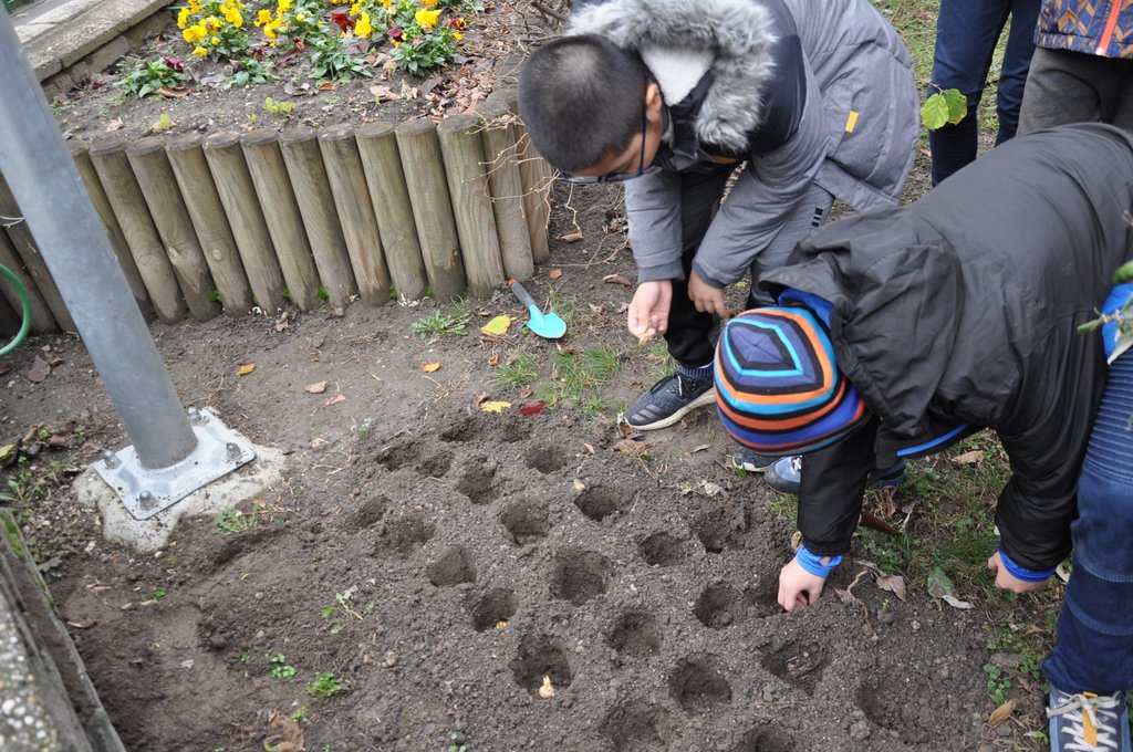 2019.11. Krokusz project 6.b 11.JPG