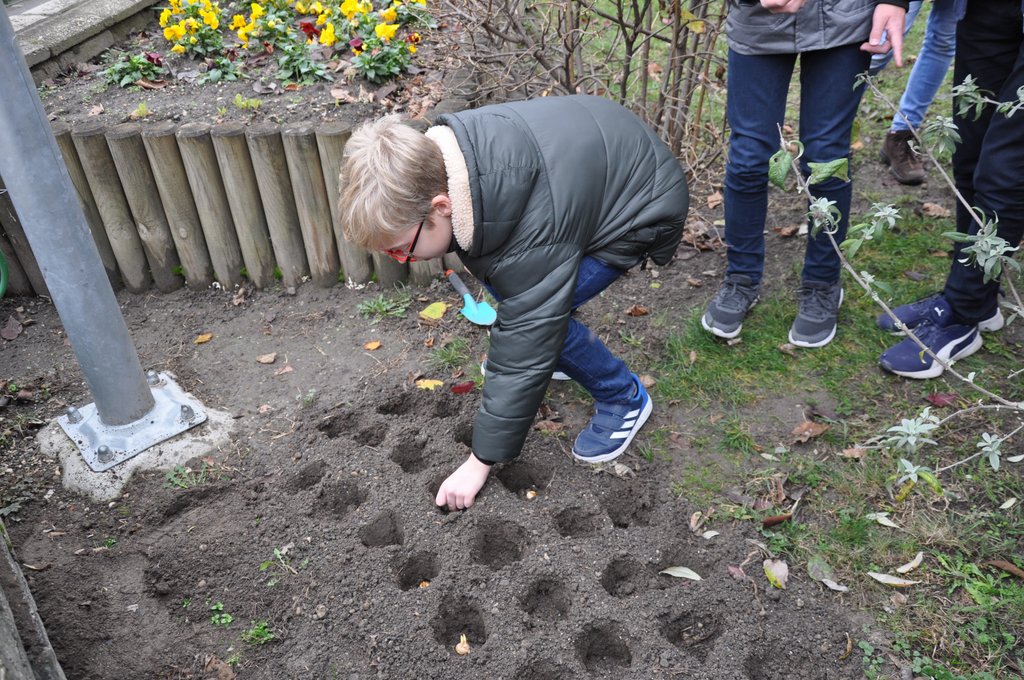 2019.11. Krokusz project 6.b 15.JPG