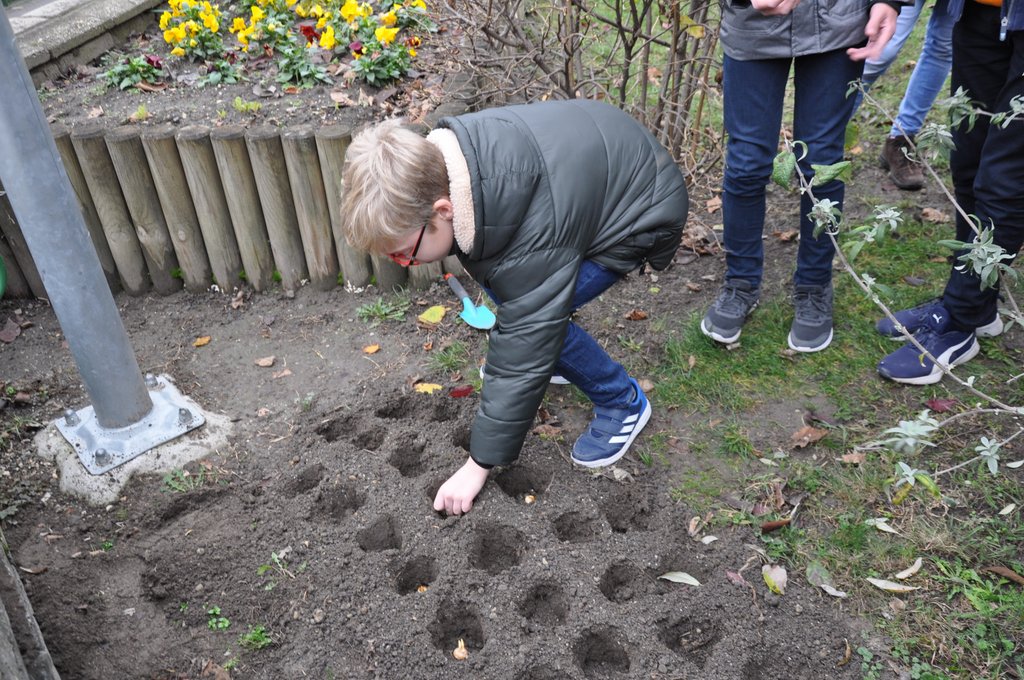 2019.11. Krokusz project 6.b 16.JPG