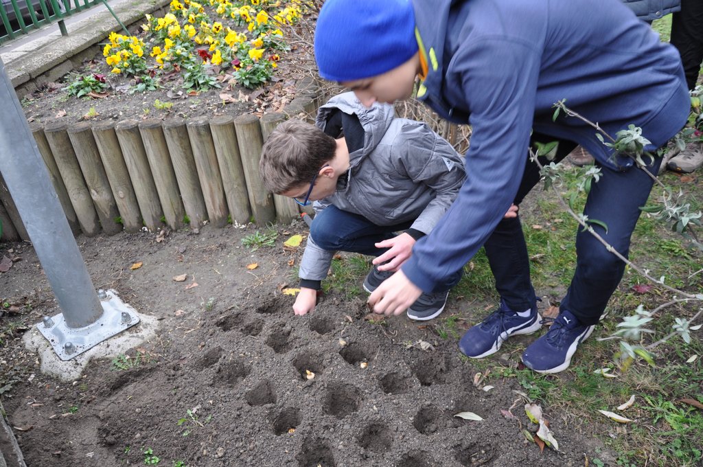 2019.11. Krokusz project 6.b 18.JPG