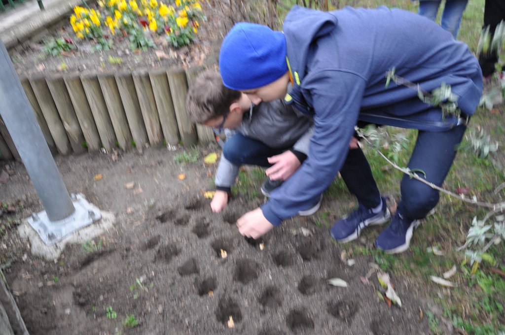 2019.11. Krokusz project 6.b 19.JPG