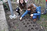 2019.11. Krokusz project 6.b 22.JPG