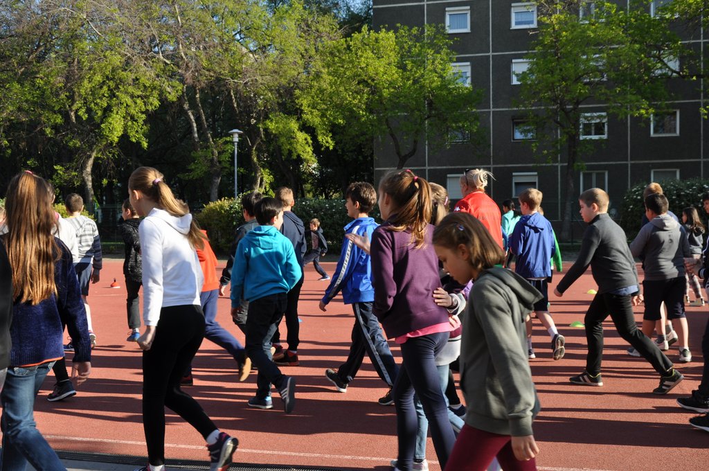 2019. Nyulkupa alsosok 001.JPG