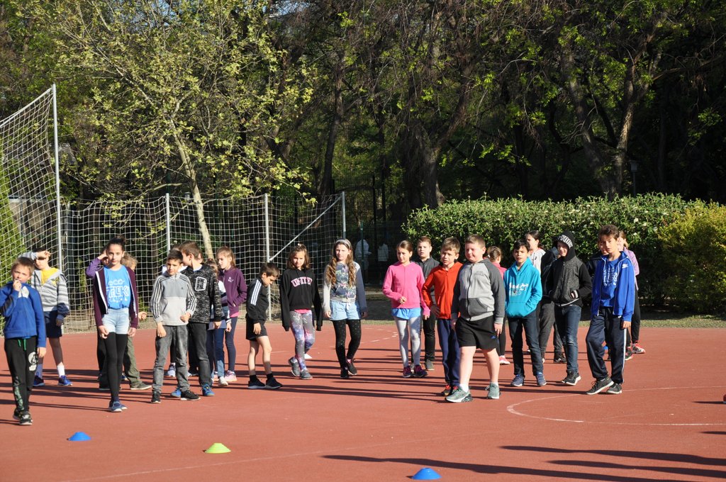 2019. Nyulkupa alsosok 003.JPG
