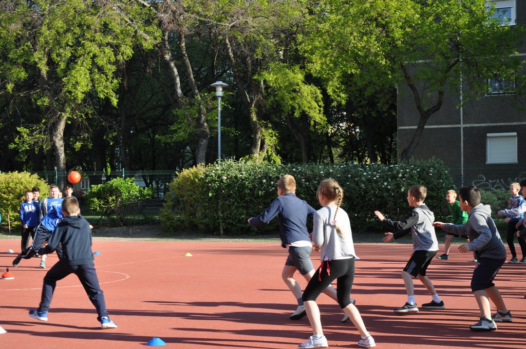 2019. Nyulkupa alsosok 005.JPG