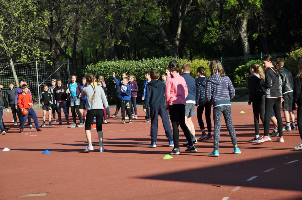 2019. Nyulkupa alsosok 007.JPG