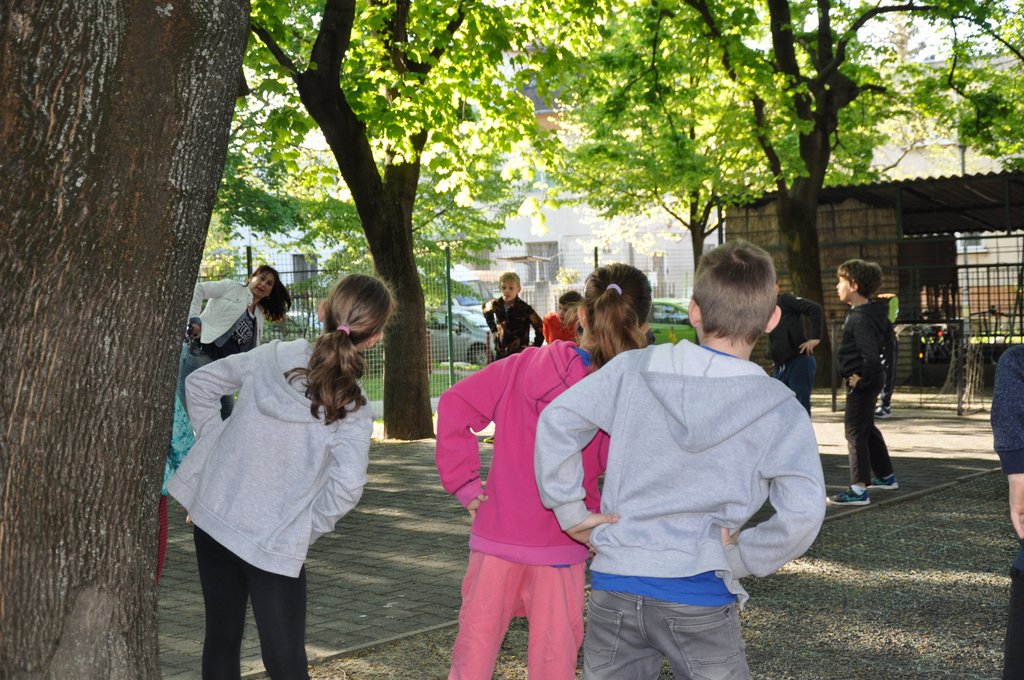2019. Nyulkupa alsosok 010.JPG