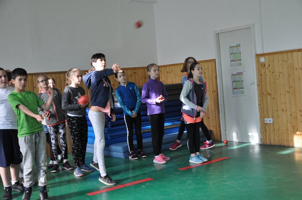 2019. Nyulkupa alsosok 023.JPG