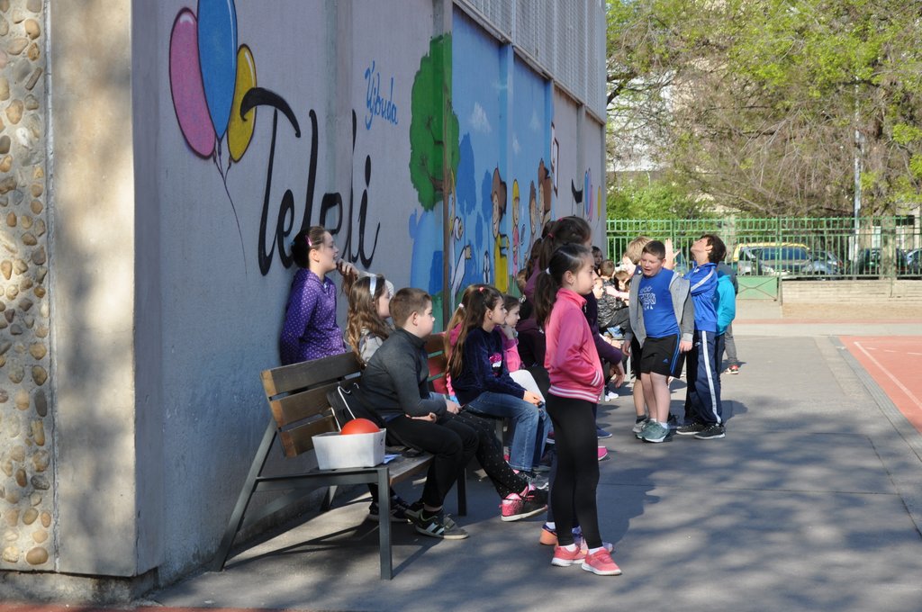 2019. Nyulkupa alsosok 039.JPG