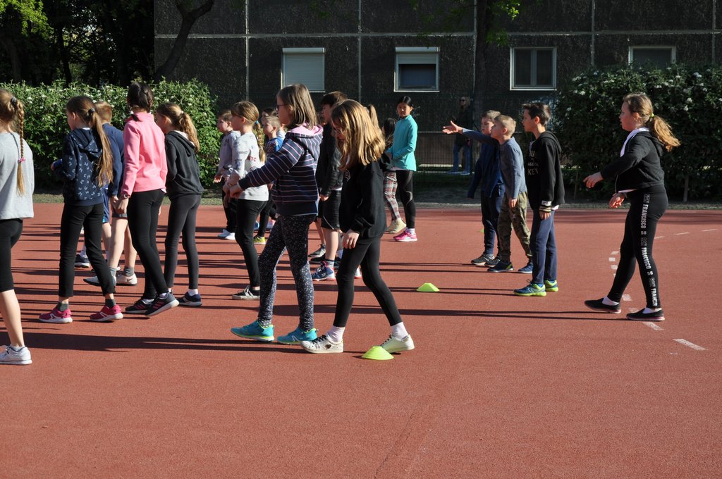 2019. Nyulkupa alsosok 043.JPG