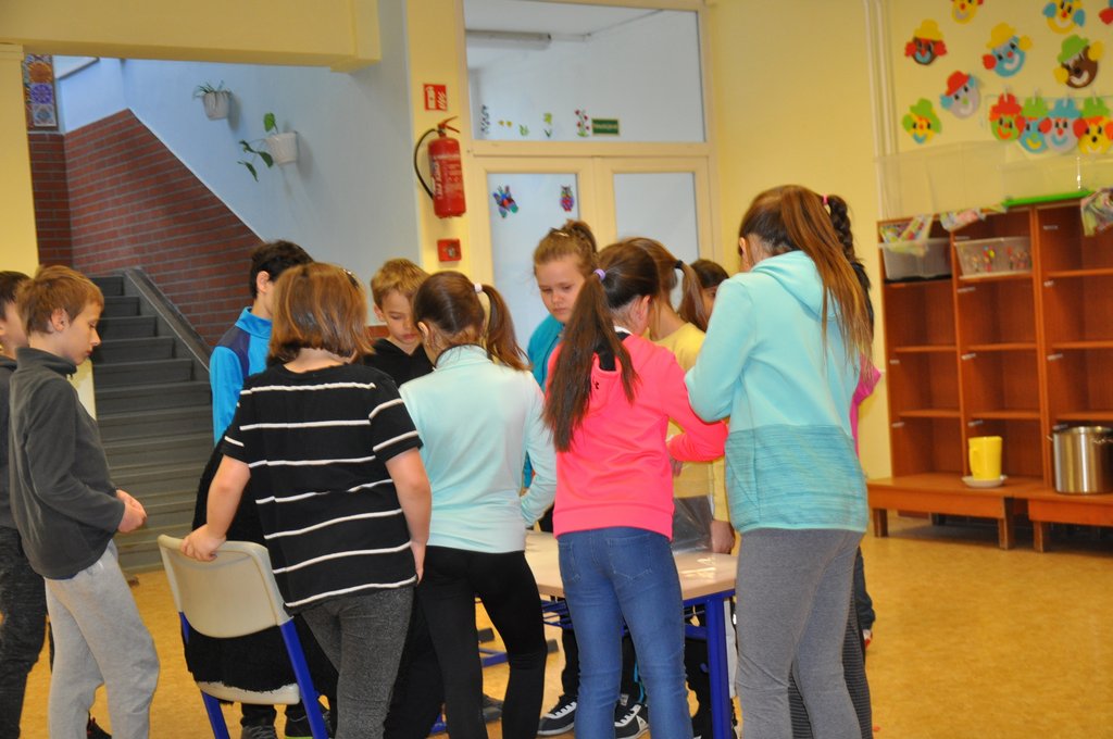 2019. Nyulkupa alsosok 046.JPG
