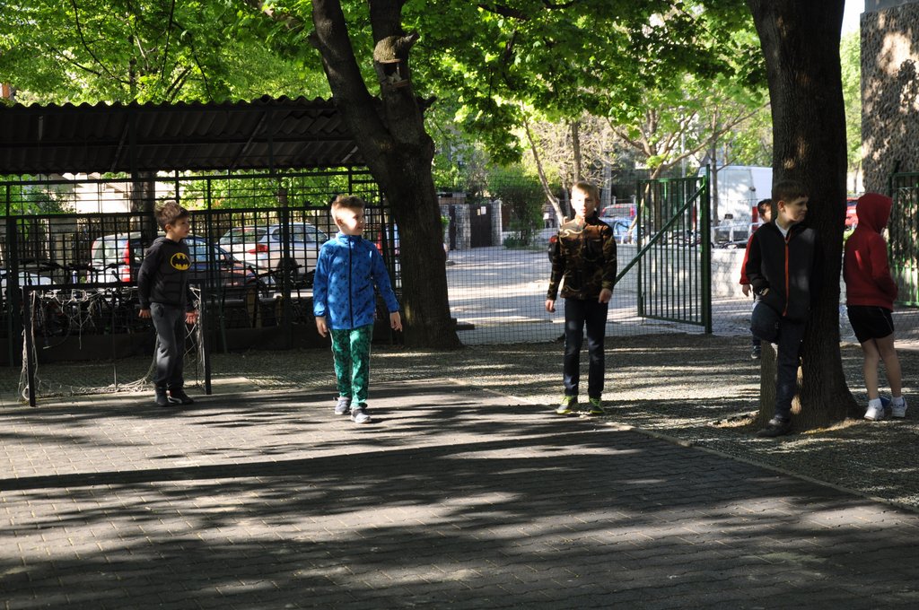 2019. Nyulkupa alsosok 057.JPG