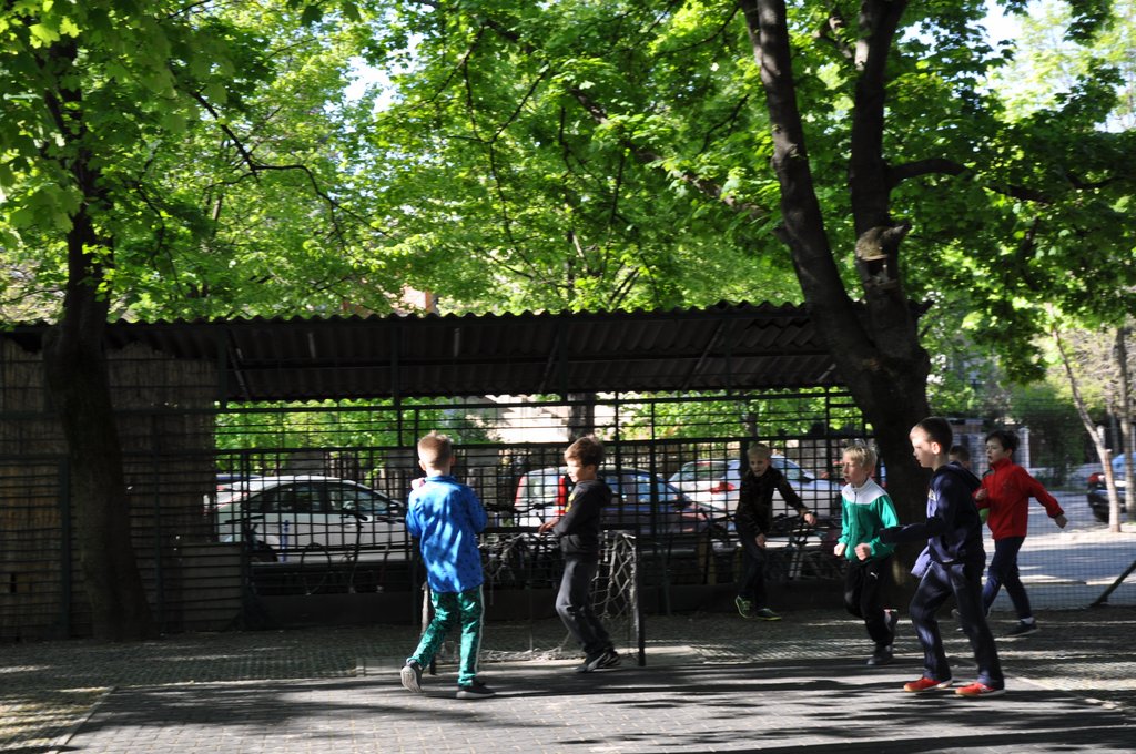 2019. Nyulkupa alsosok 061.JPG