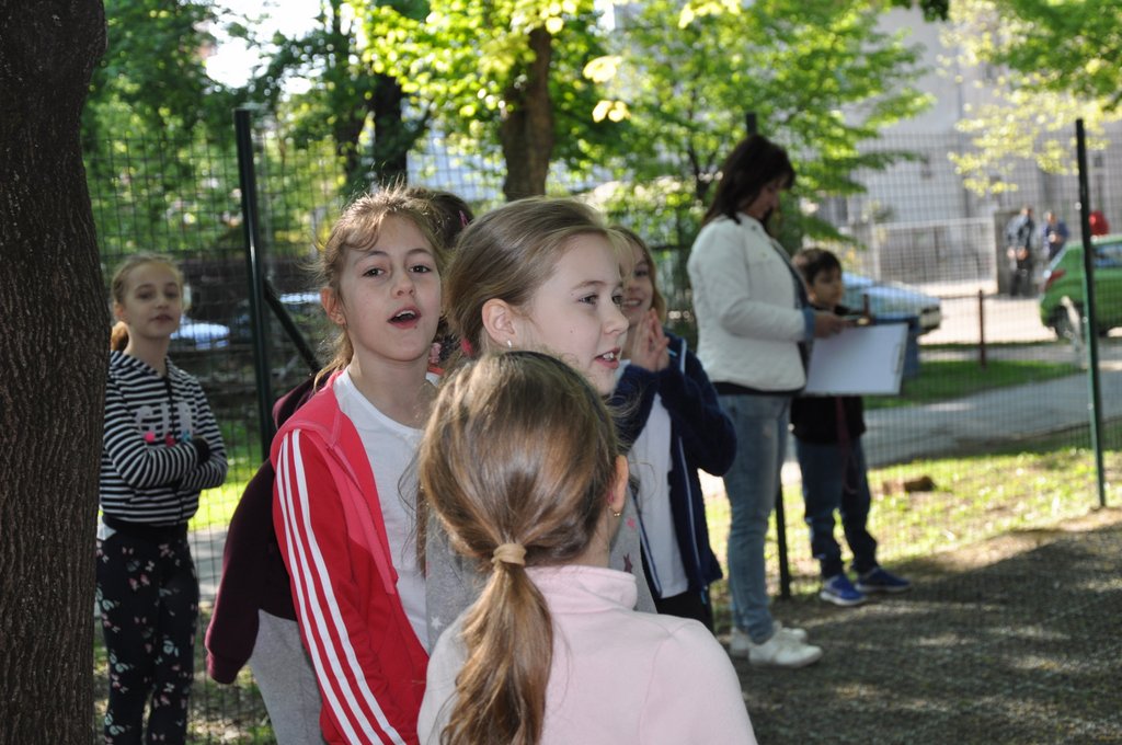 2019. Nyulkupa alsosok 062.JPG
