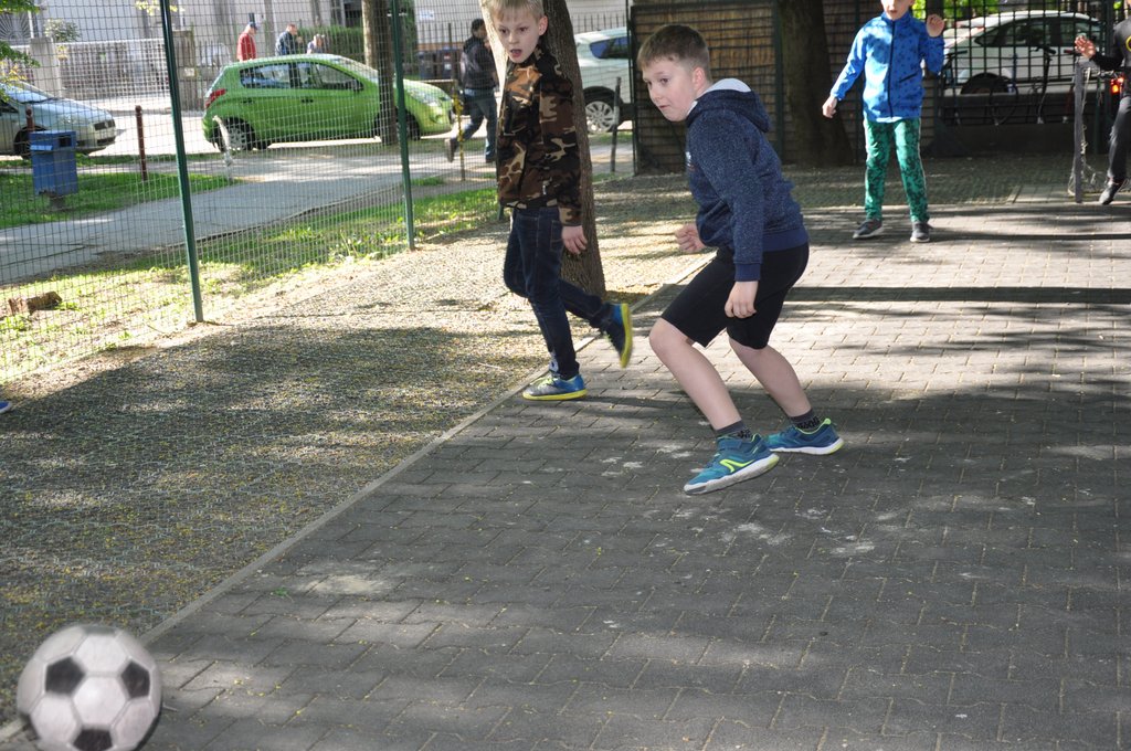 2019. Nyulkupa alsosok 064.JPG