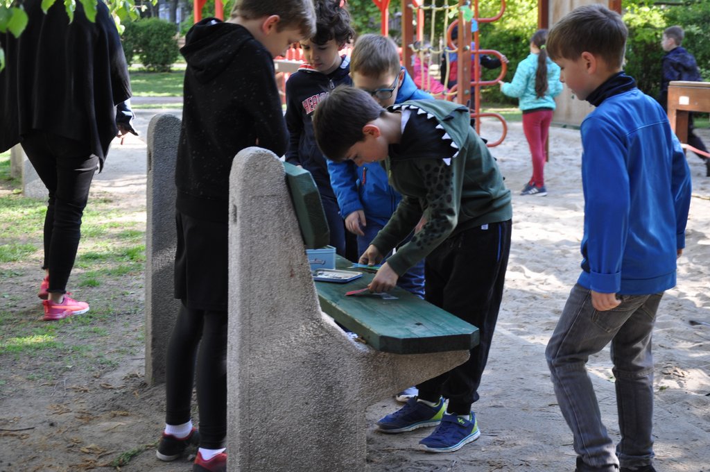 2019. Nyulkupa alsosok 065.JPG