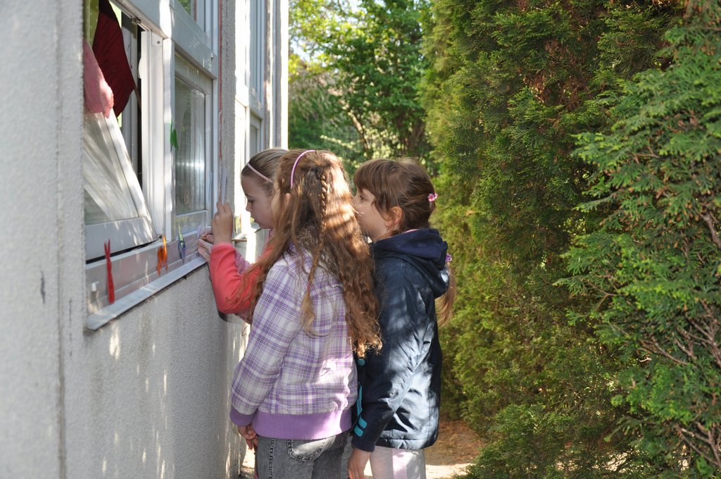 2019. Nyulkupa alsosok 068.JPG