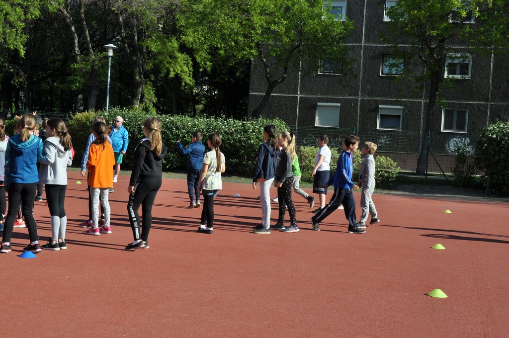 2019. Nyulkupa alsosok 071.JPG