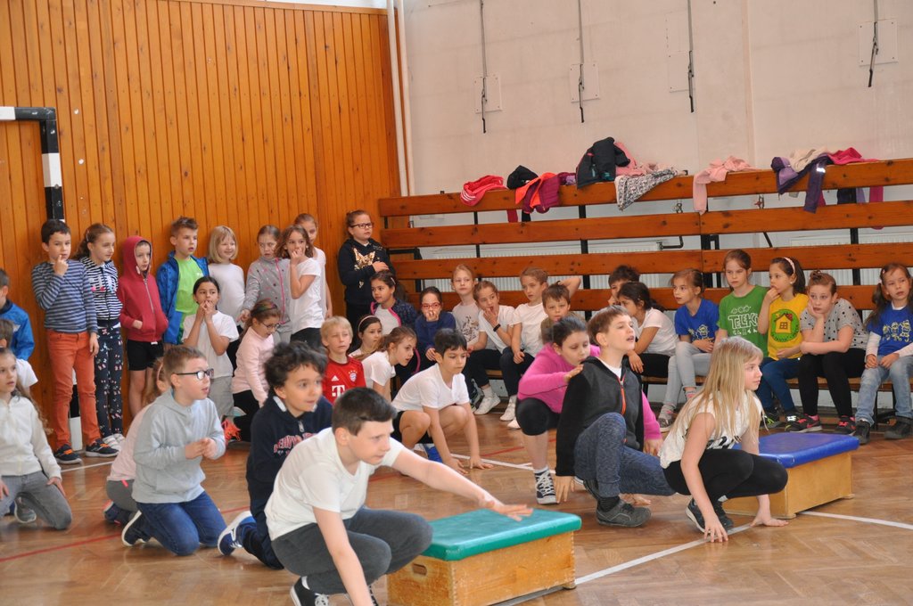 2019. Nyulkupa alsosok 092.JPG